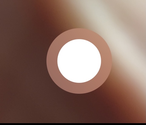 Bouton en forme de cercle blanc pour prendre une photo ou une vidéo
