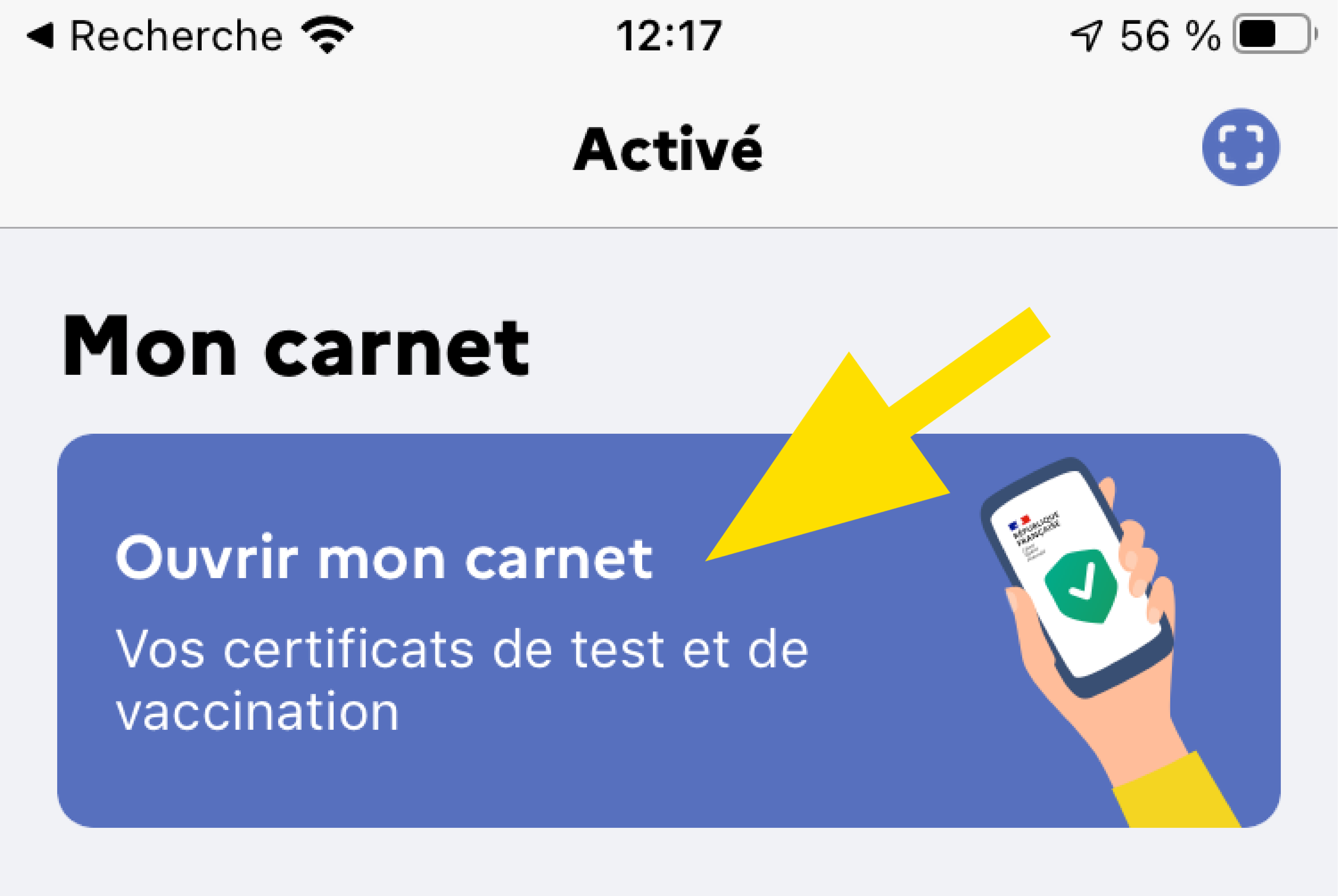 Rubrique Mon Carnet TousAntiCovid pour le pass sanitaire