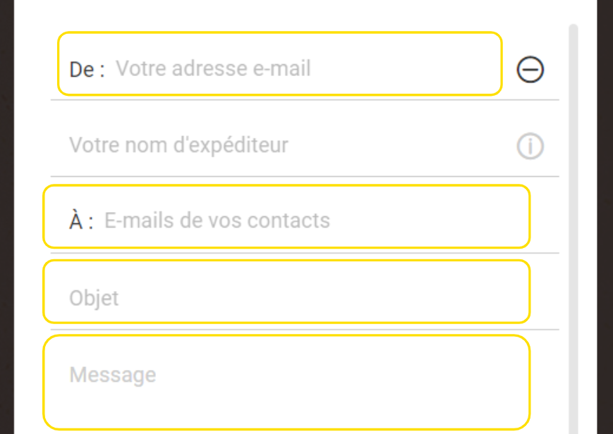 Remplir les champs pour envoyer par email