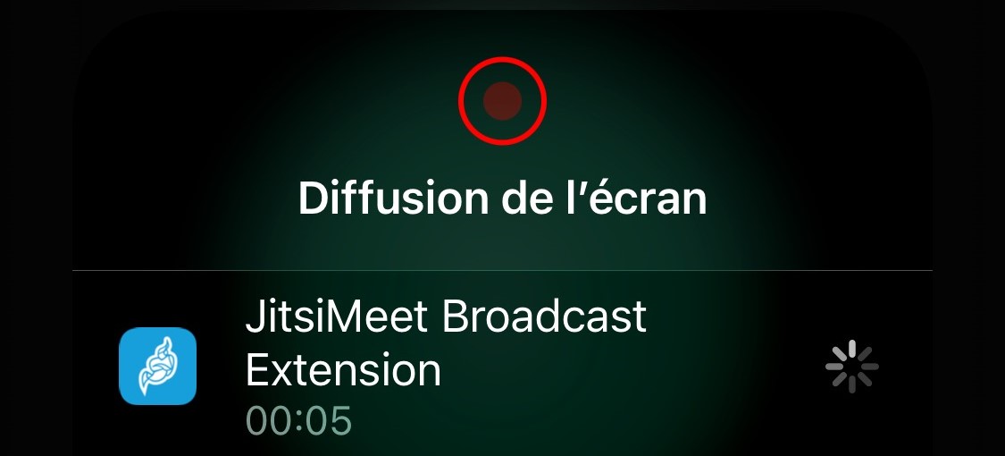 Diffusion de l'écran en cours sur Jitsi