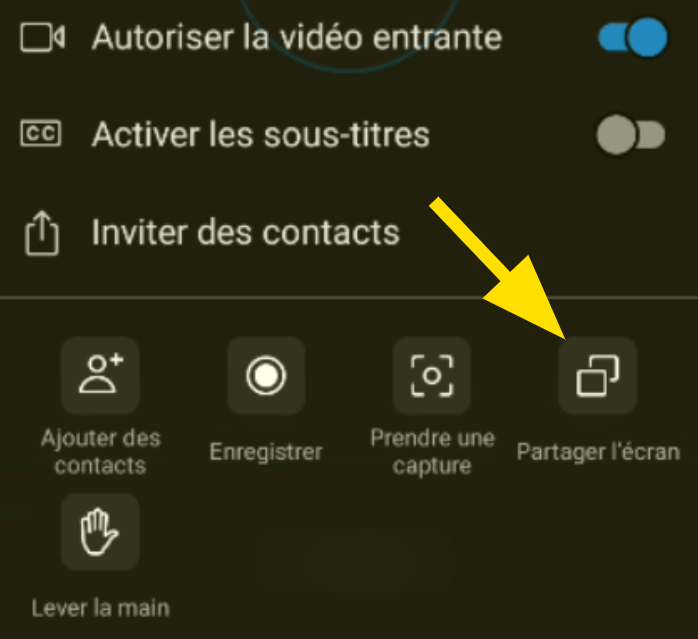 Démarrer le partage d'écran sous Skype