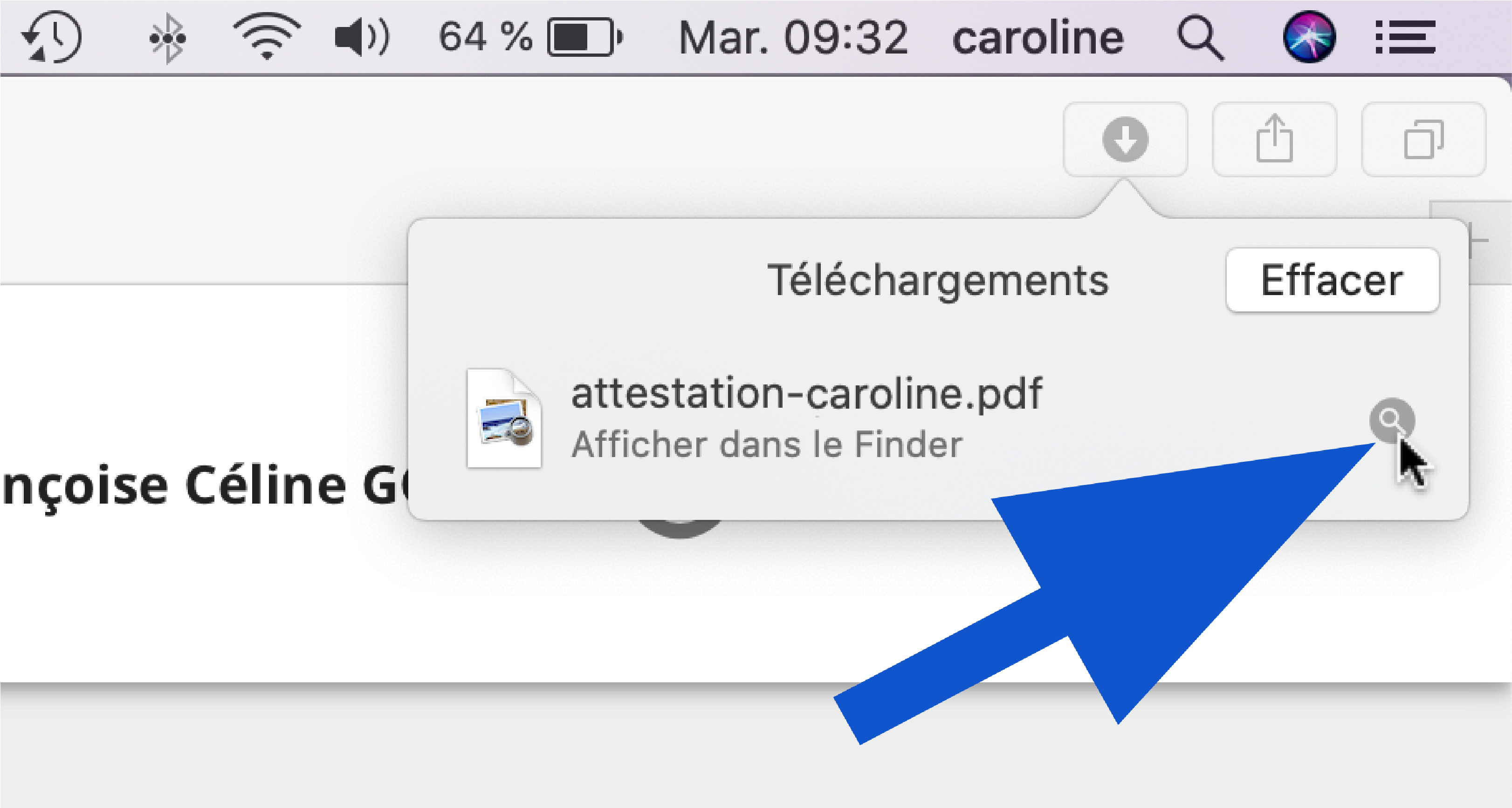 Bouton afficher le fichier téléchargé sur Safari