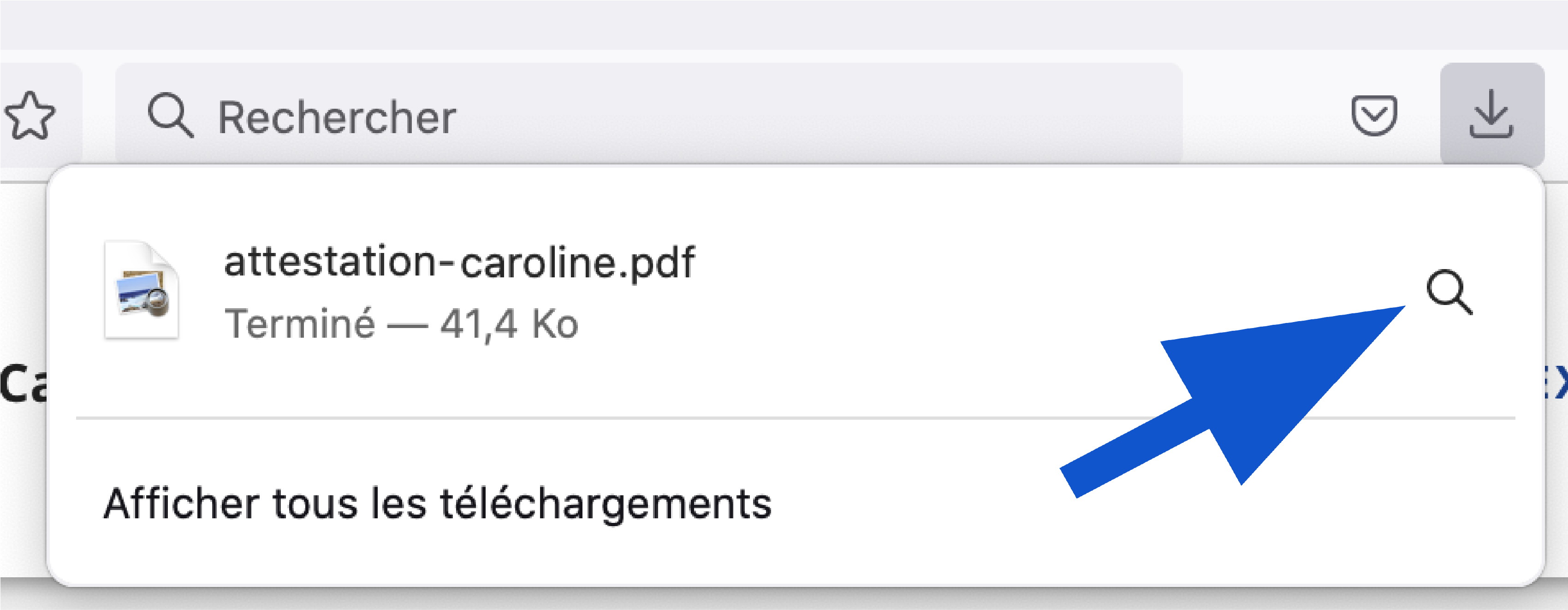 Bouton afficher le fichier téléchargé sur Firefox