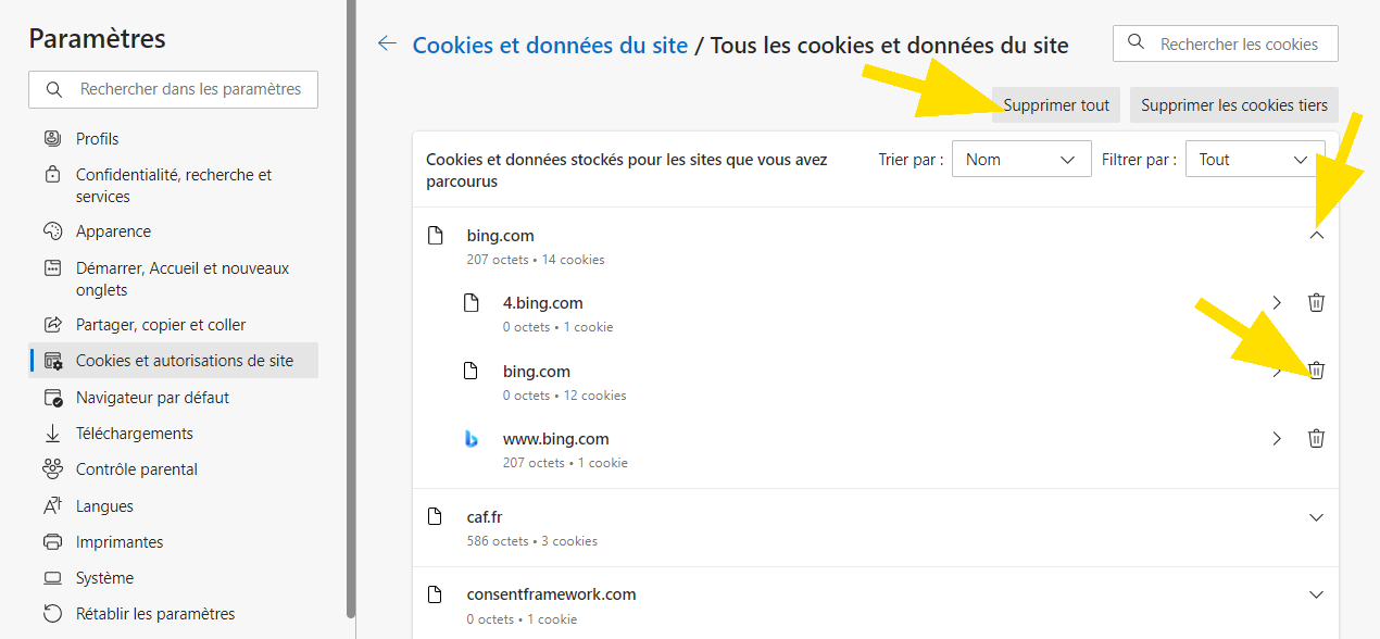 Cliquez sur Supprimer tout ou sur la poubelle située en face du site, pour supprimer les cookies de Microsoft Edge